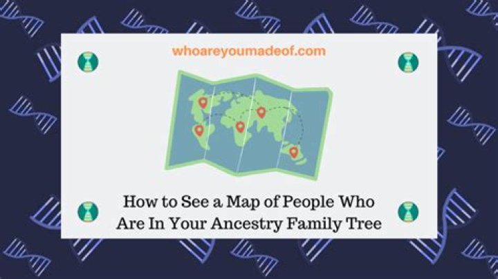A Journey Of Ancestry And Identity