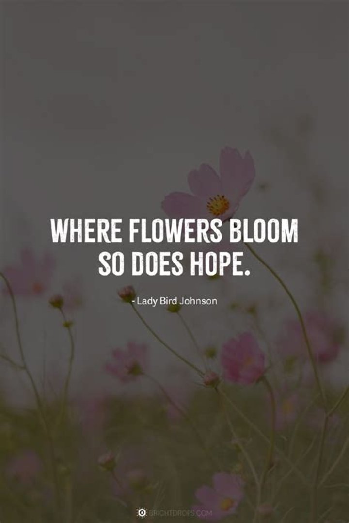 Discover Hilarious Sayings About Flowers